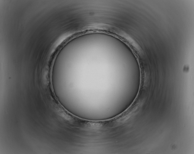 X0000102230878200807251233