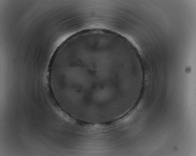 X0000102230879200807251233