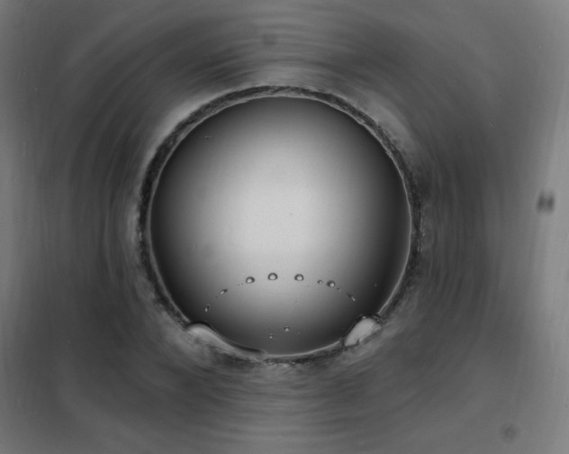 X0000102230880200807251233