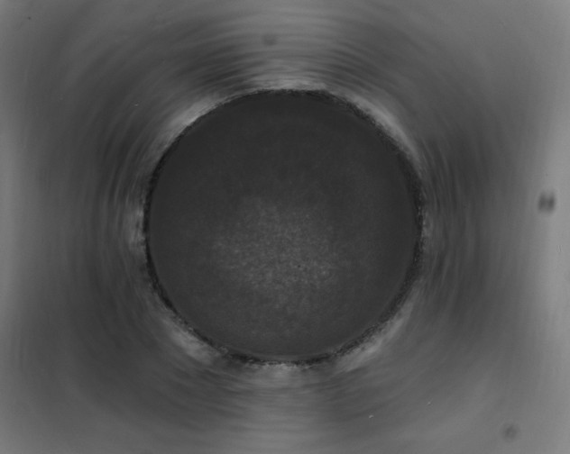 X0000102230881200807251233