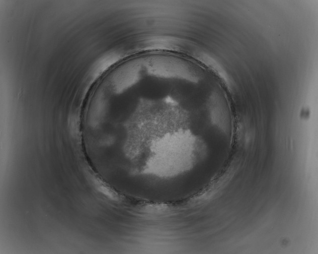 X0000102230882200807251232