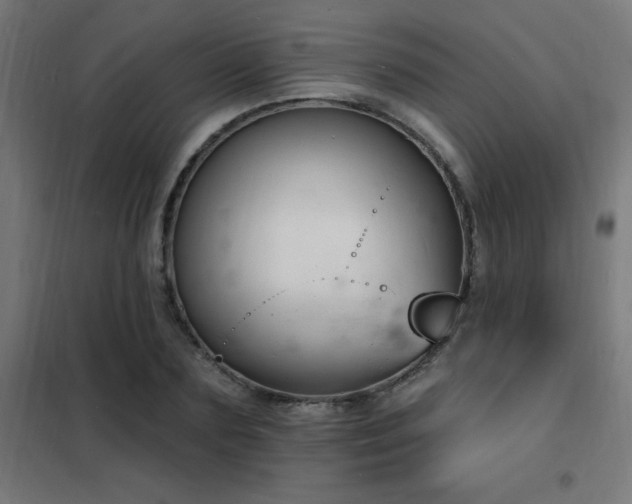 X0000102230883200807251232