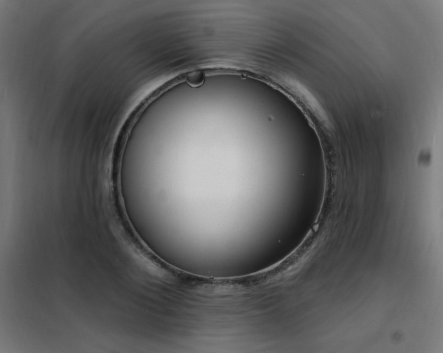 X0000102230884200807251232