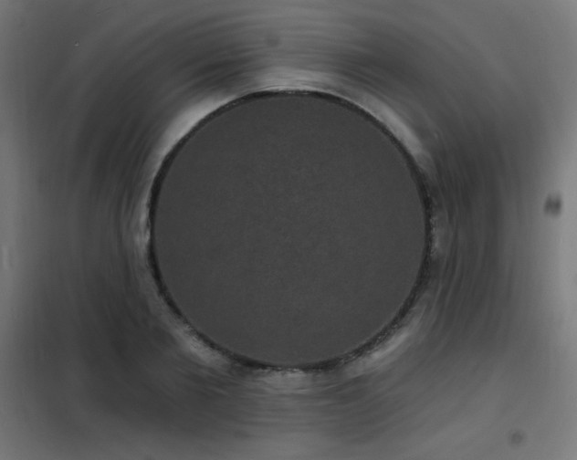 X0000102230885200807251232
