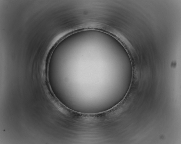 X0000102230886200807251232
