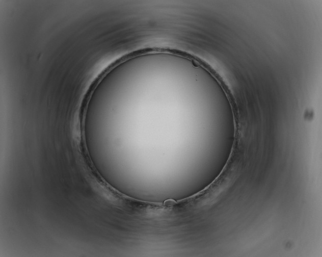 X0000102230887200807251232