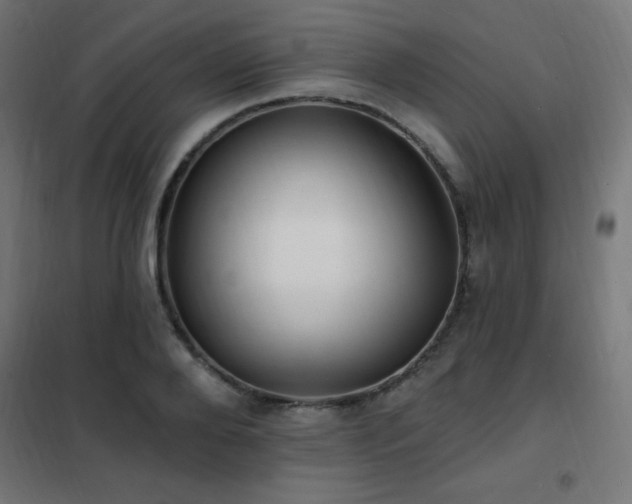 X0000102230888200807251232
