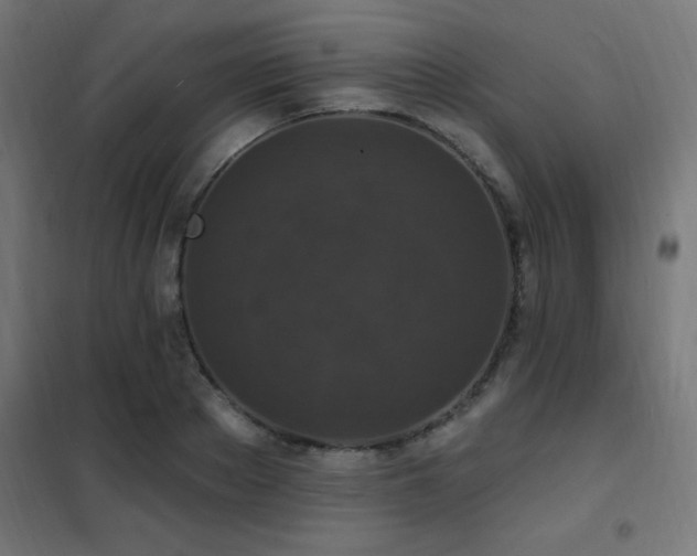 X0000102230889200807251232