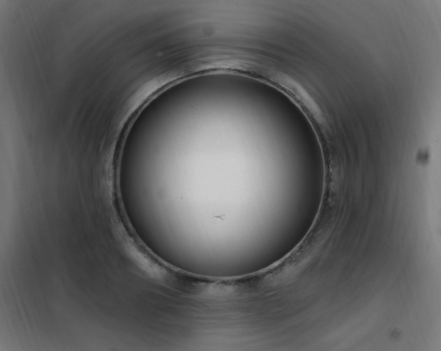 X0000102230890200807251232