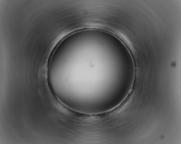 X0000102230891200807251232