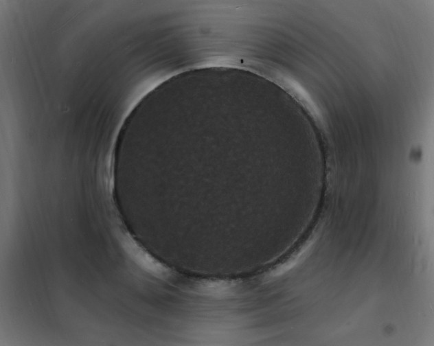 X0000102230892200807251232