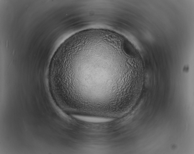 X0000102230895200807251232