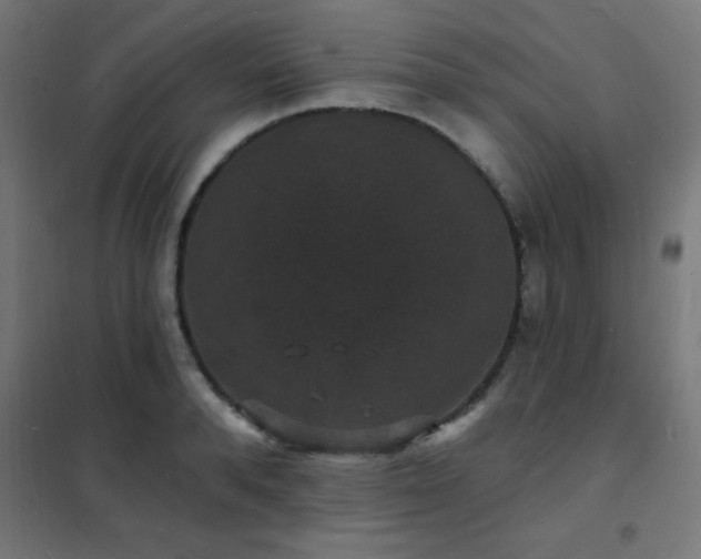 X0000102230896200807251232