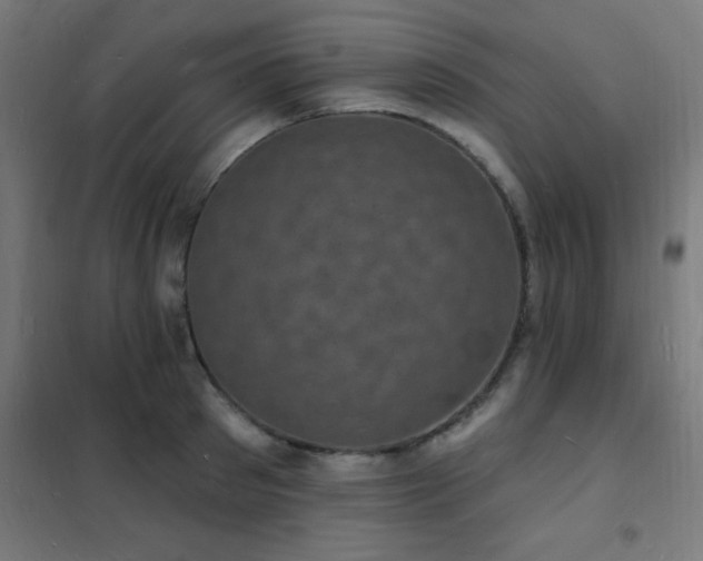 X0000102230897200807251232
