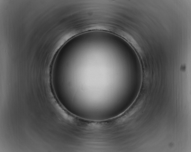 X0000102230898200807251232