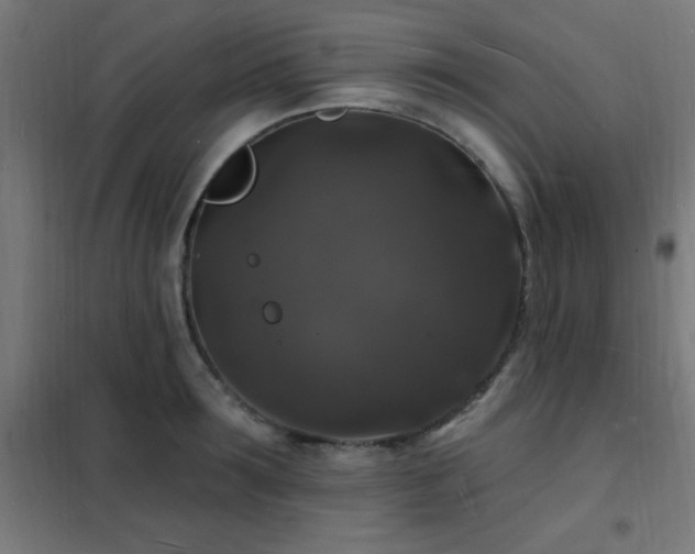 X0000102230899200807251232