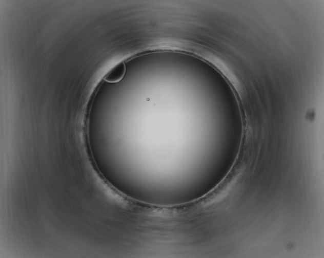 X0000102230901200807251232