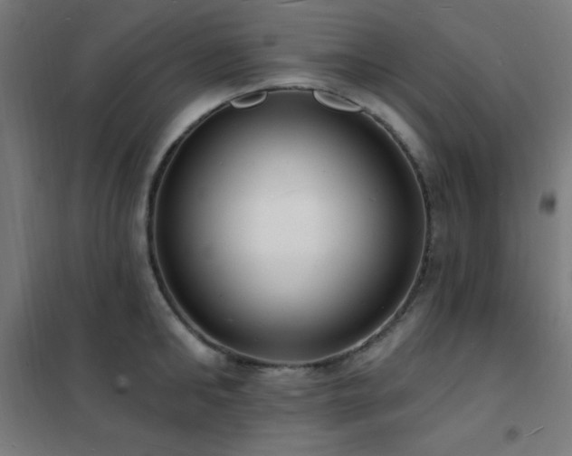 X0000102230902200807251232