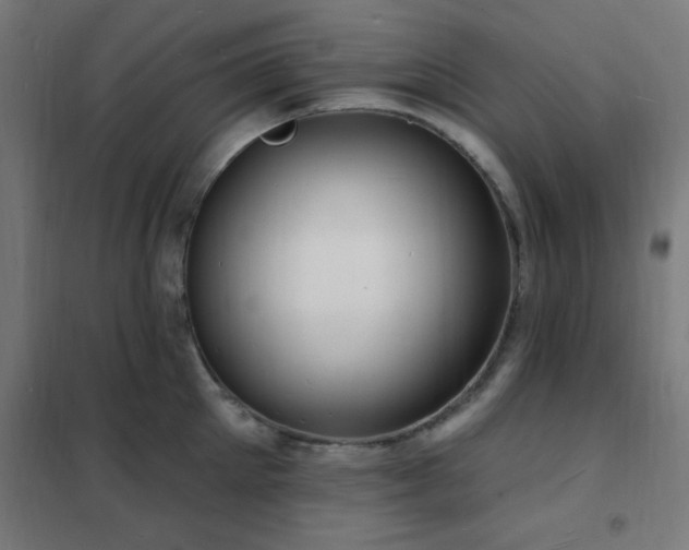 X0000102230905200807251232