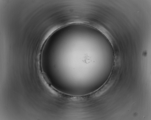 X0000102230906200807251232