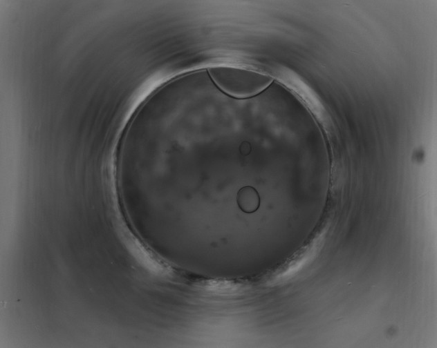 X0000102230907200807251232