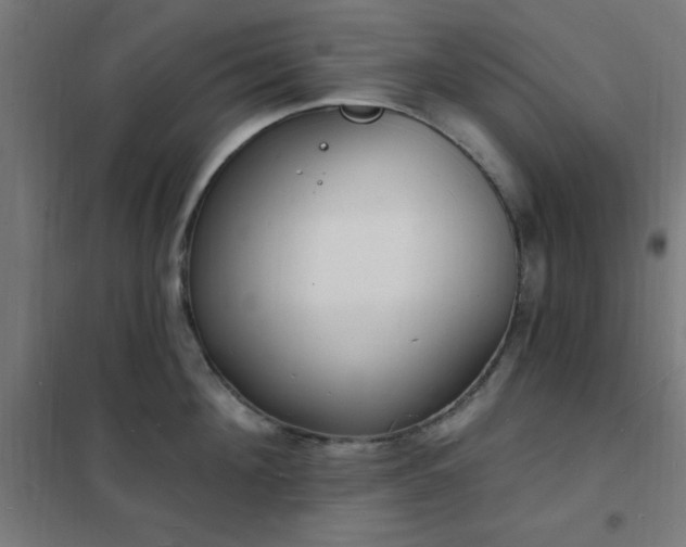 X0000102230908200807251232