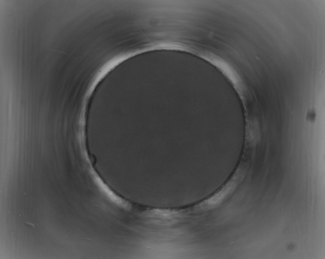 X0000102230910200807251232
