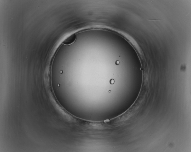 X0000102230911200807251232
