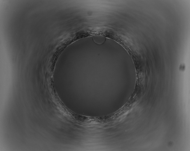 X0000102230913200807251231