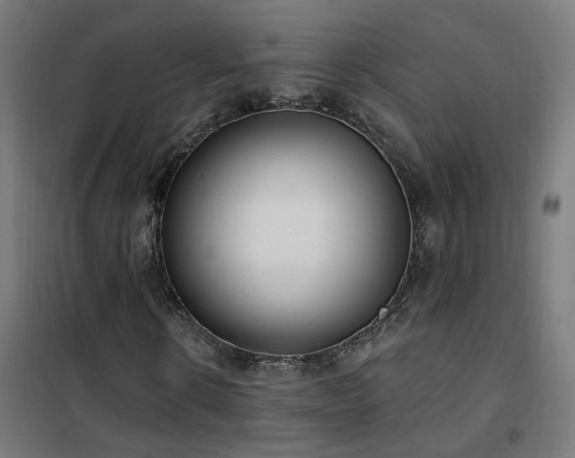 X0000102230914200807251231