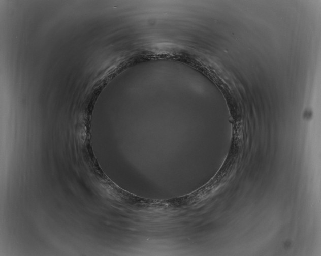 X0000102230916200807251231