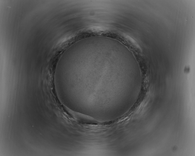 X0000102230917200807251231