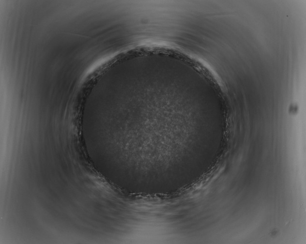 X0000102230919200807251231
