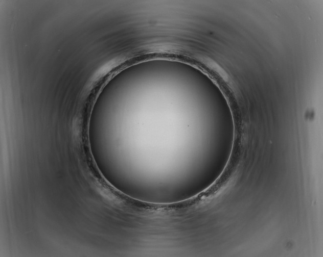 X0000102230922200807251232