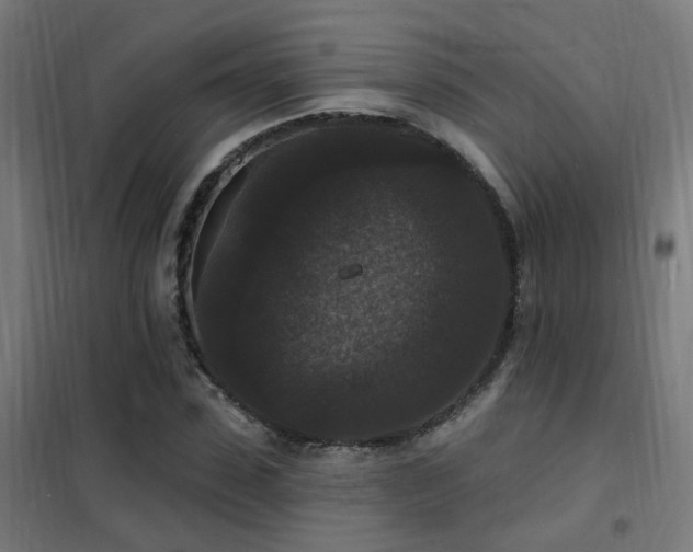 X0000102230923200807251232