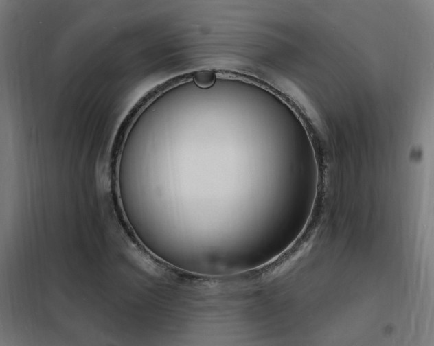 X0000102230924200807251232