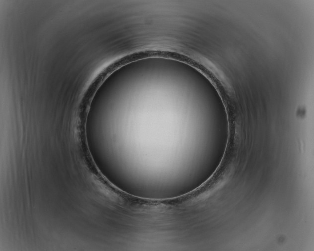 X0000102230926200807251232