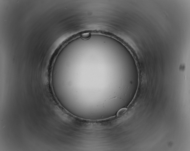 X0000102230927200807251232