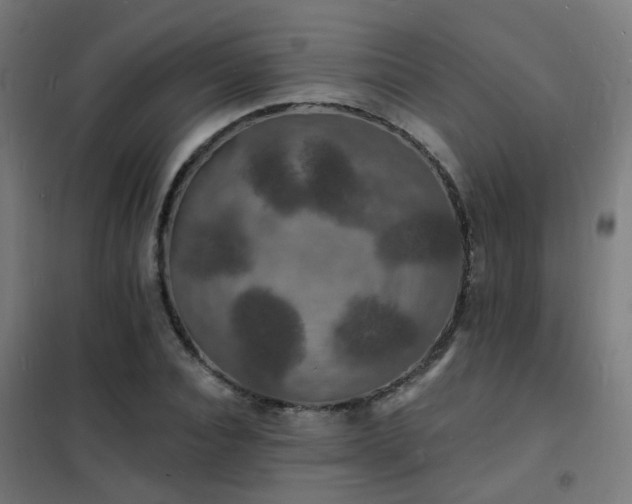 X0000102230928200807251232