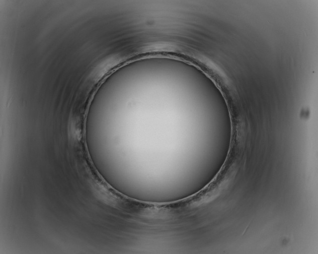 X0000102230929200807251232
