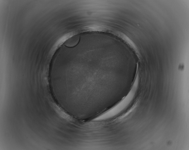 X0000102230930200807251232