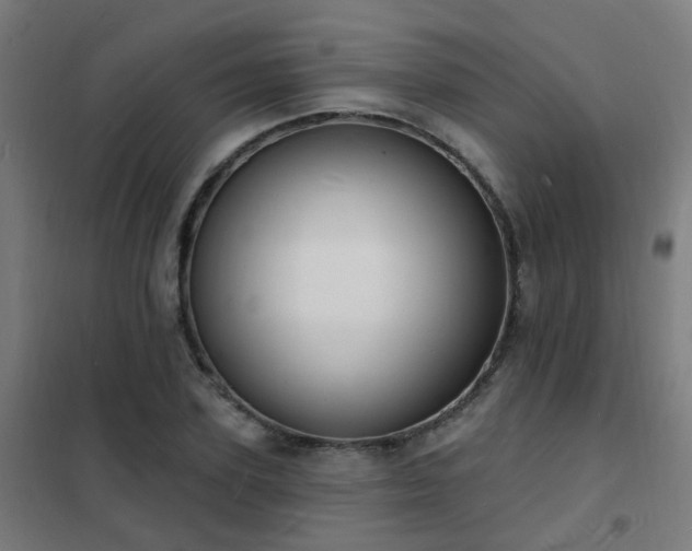 X0000102230931200807251232