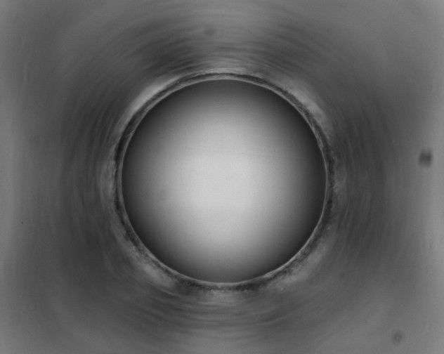 X0000102230933200807251232