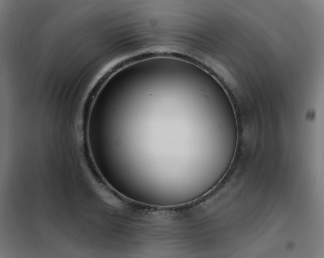 X0000102230934200807251232