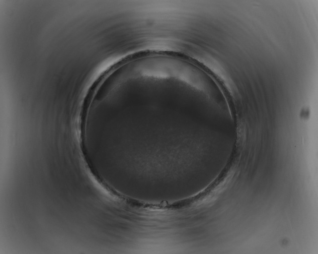 X0000102230935200807251232