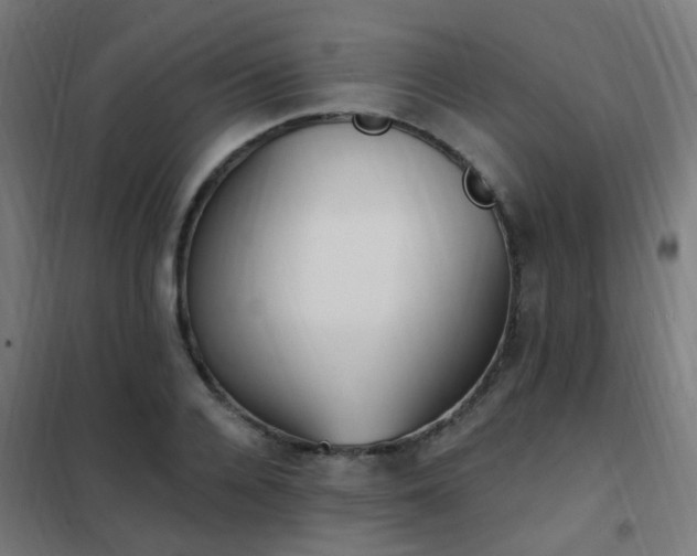 X0000102230936200807251232