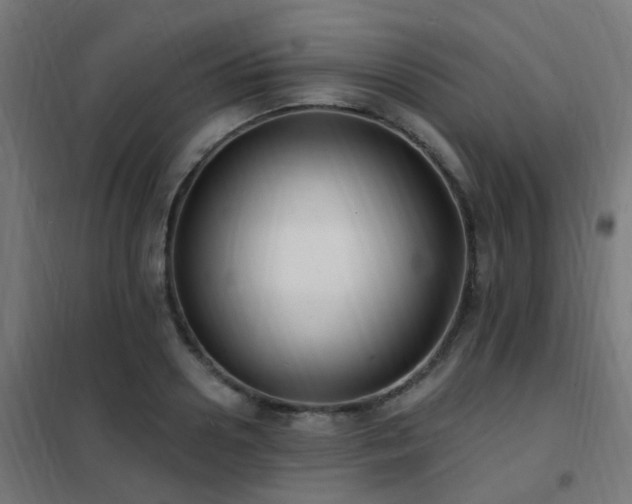 X0000102230938200807251232