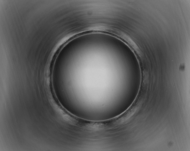 X0000102230939200807251232