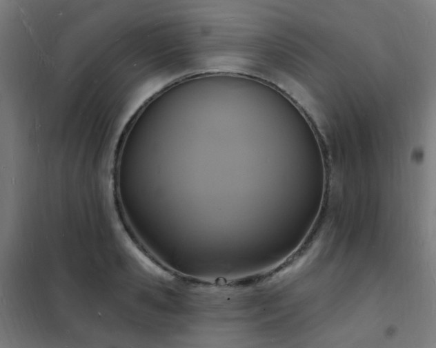 X0000102230941200807251232