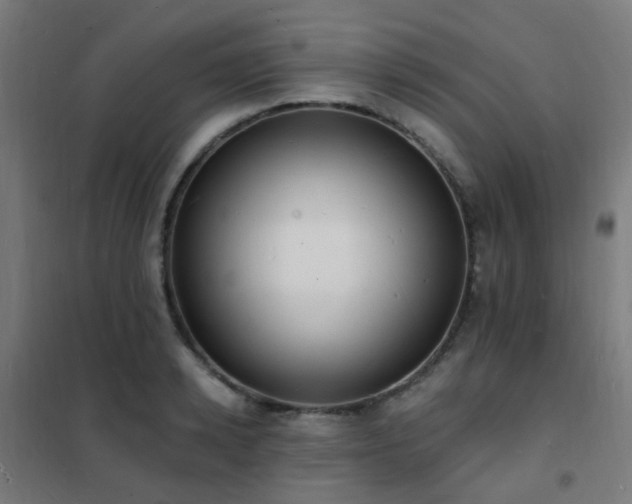 X0000102230942200807251232